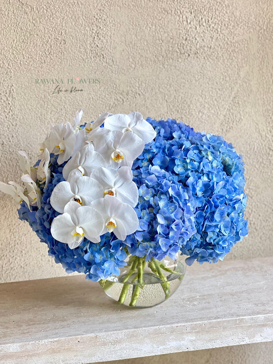 Shades of Blue
