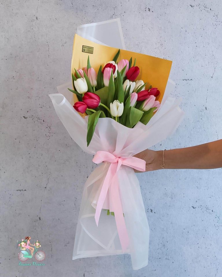 Colorful Tulips
