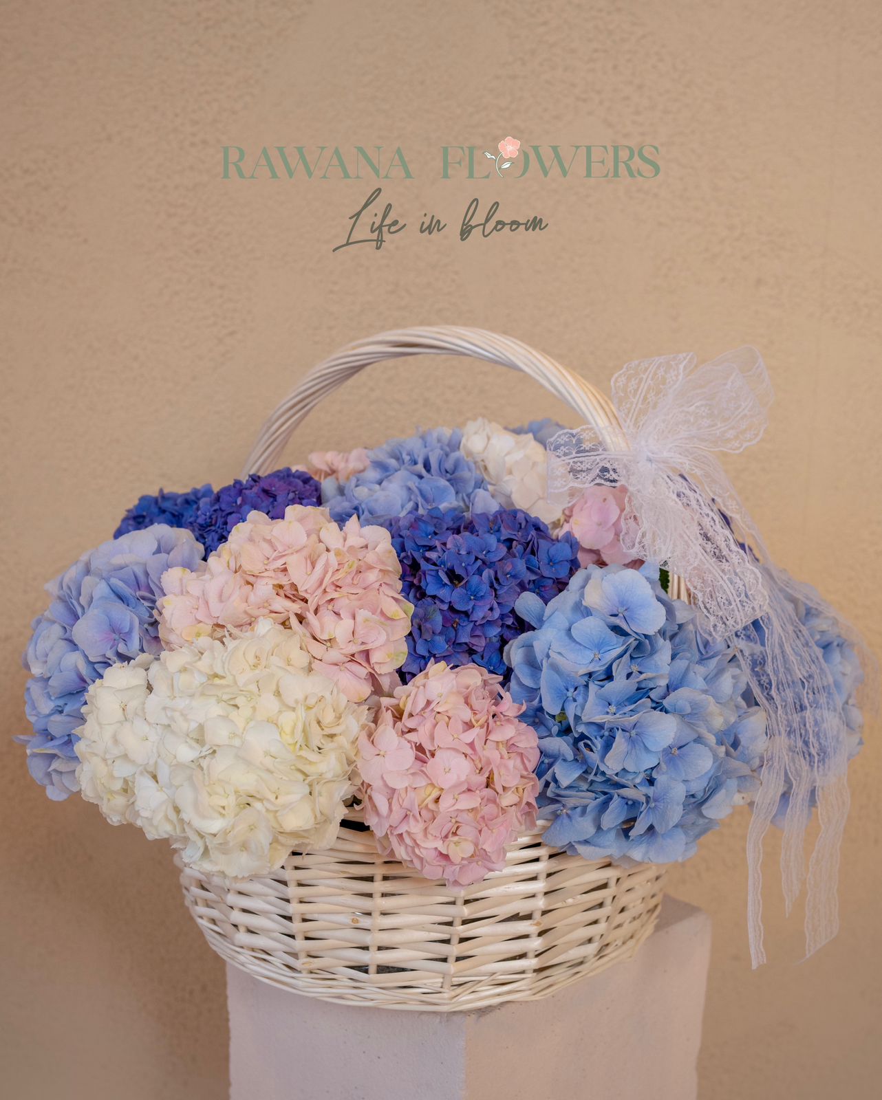 Hydrangea Basket